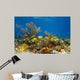 Underwater landscape in a coral reef with fish 
