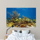 Underwater landscape in a coral reef with fish 