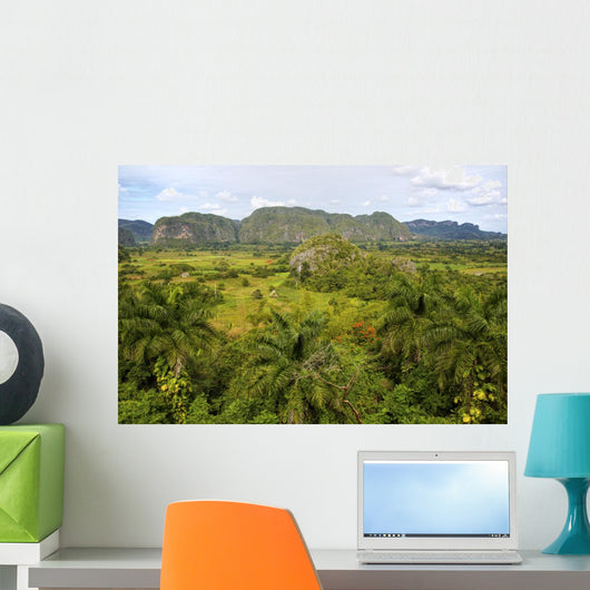Island of Cuba Wall Mural