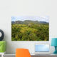 Island of Cuba Wall Mural