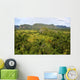Island of Cuba Wall Mural