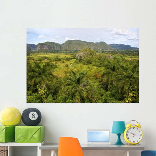 Island of Cuba Wall Mural