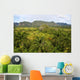 Island of Cuba Wall Mural