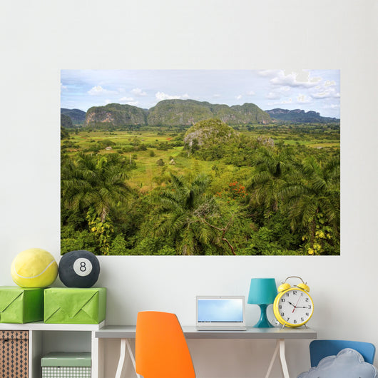 Island of Cuba Wall Mural