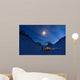 Looking at the Night Sky 