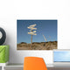Where Am I Wall Decal