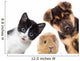 Puppy and kitten and guinea pig 