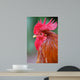 Red Rooster 