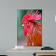 Red Rooster 