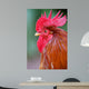 Red Rooster 