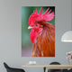 Red Rooster 