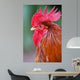 Red Rooster 