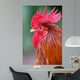 Red Rooster 