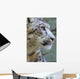 Snow Leopard Wall Mural