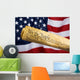 United States Constitution Wall Mural