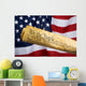 United States Constitution Wall Mural
