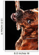 Young mixed-breed / boxer dog with a stick 