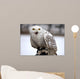 Schneeeule Wall Decal