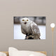 Schneeeule Wall Decal