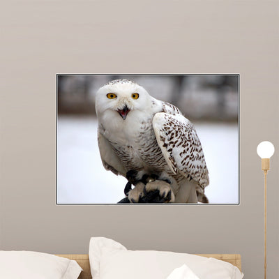 Schneeeule Wall Decal shown on a wall