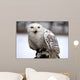 Schneeeule Wall Decal
