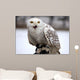 Schneeeule Wall Decal