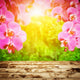 Spa, Zen, Wellness Composition. Orchid Flowers 