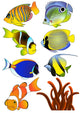 Exotic Fish Vector Illustartion Wall Decal