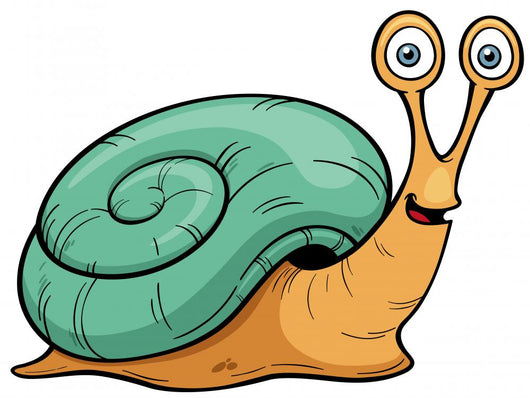 Vector illustration of Snail cartoon Wall Decal