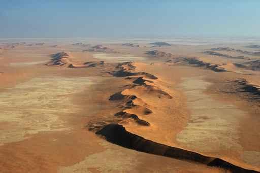 D Nen Der Namib-w Wall Decal