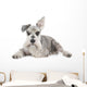 Miniature Schnauzer Wall Decal