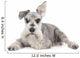 Miniature Schnauzer Wall Decal