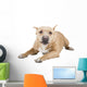 Pit Bull Wall Decal