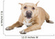 Pit Bull Wall Decal