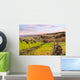 hills of Tuscany, Italy Wall Mural