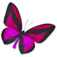 Beautiful Black and Pink Butterfly Wall Decal