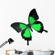 Beautiful Black and Green Butterfly Wall Decal