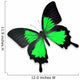 Beautiful Black and Green Butterfly Wall Decal