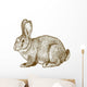 vector engraving rabbit on white background Wall Decal