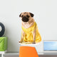 Female Pug Wall Decal