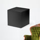 Black box Wall Decal