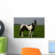 horse portrait Wall Mural