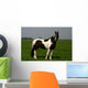 horse portrait Wall Mural