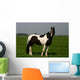 horse portrait Wall Mural