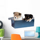 Little Puppy Sheltie in a Gift Box Wall Decal