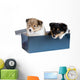 Little Puppy Sheltie in a Gift Box Wall Decal