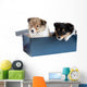 Little Puppy Sheltie in a Gift Box Wall Decal