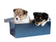 Little Puppy Sheltie in a Gift Box Wall Decal