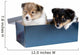 Little Puppy Sheltie in a Gift Box Wall Decal