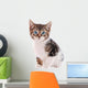 White and Brown Tabby Cat with Blue Eyes 